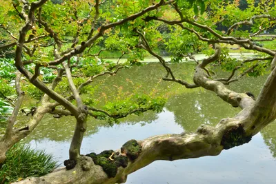 DSC_3355 (Large).JPG